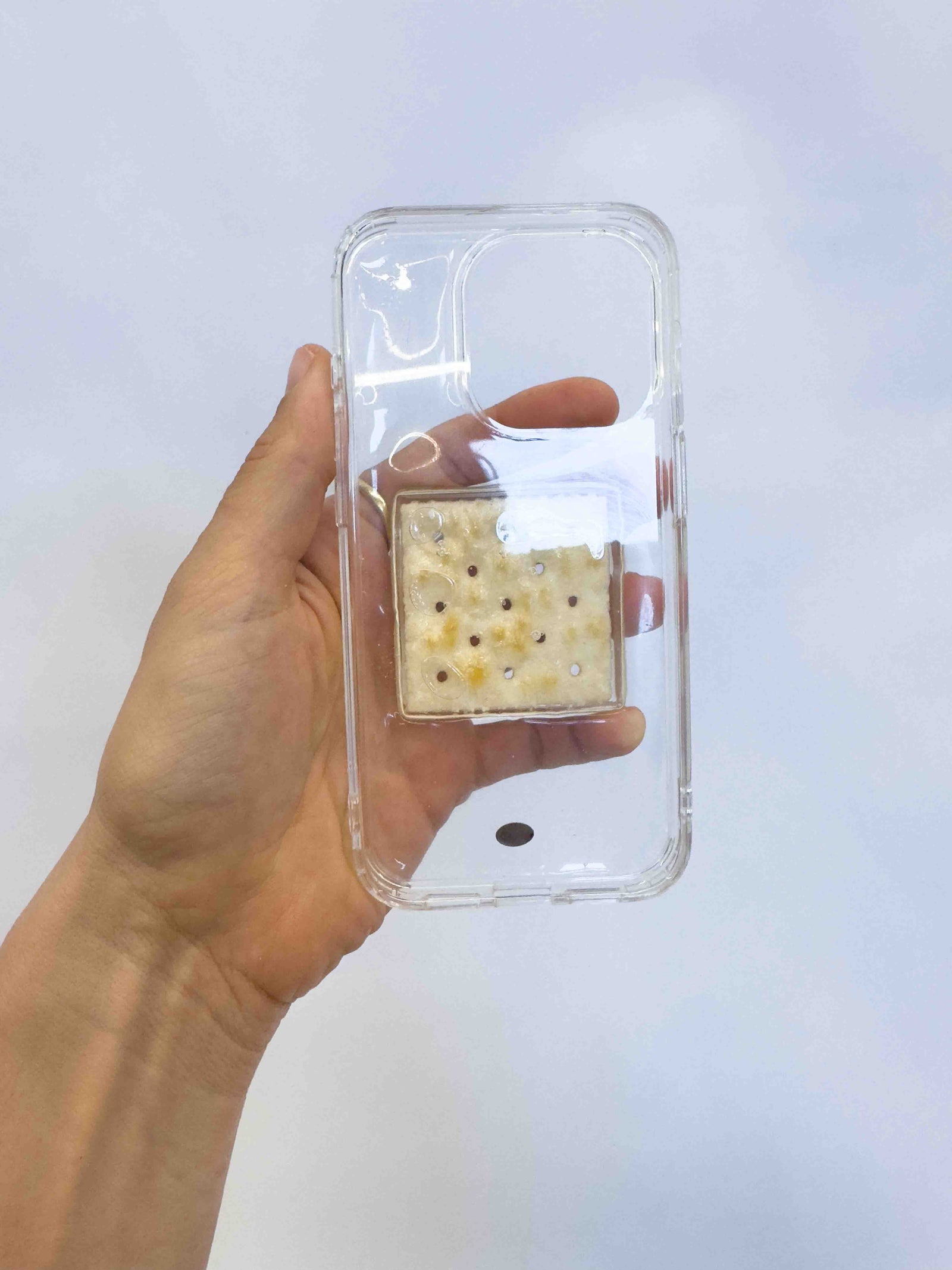 EXPERIMENT: 15 PRO : SALTINE CRACKER – BAILEY HIKAWA