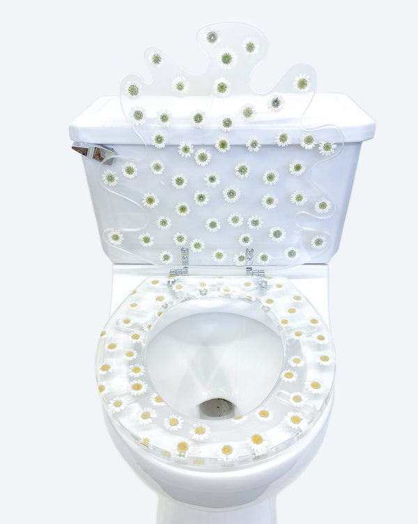 Shibuki Toilet Seat in Chamomile